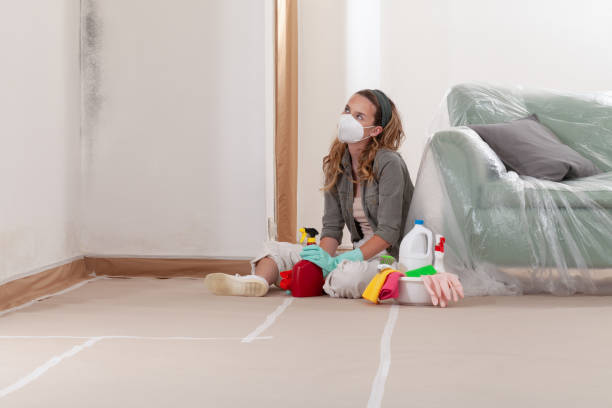 Reliable Mold Testing contractor in Cream Ridge, NJ by WQB Mold Removal